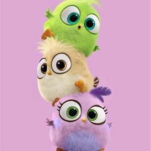 Meet your Posher, Arisha